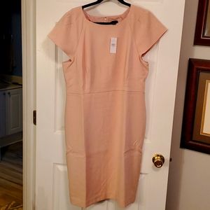 NWT Ann Taylor Dress